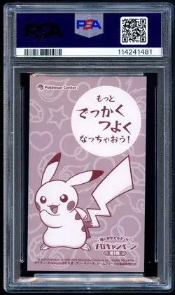 Pokemon 2015 Japanese PSA 10 Poncho Wearing Pikachu Business Card Charizard X - Image 2