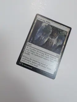 MTG - Evolving Wilds - Commander: Duskmourn (DSC) NM/M Condition - Image 2
