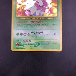 Meganium Holo Neo Premium File Promo - Japanese Pokemon Card - 2000 - Image 4
