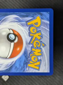 Mightyena 243/217 - Ascended Heroes Illustration Rare Pokemon TCG NM - Image 3