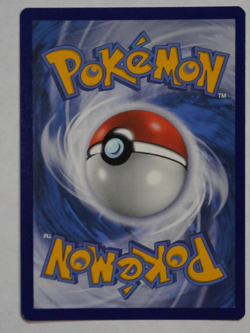 Pikachu SWSH234 SWSH: Sword & Shield Promo Cards Holo Pokemon GO - Image 2