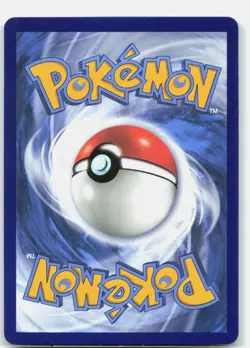 Lucario V - Holo Promo SWSH: Sword & Shield Promo Cards SWSH213 NM - Image 2