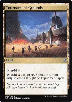 Tournament Grounds 248 Throne of Eldraine Magic: The Gathering NM - Image 1