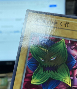 YuGiOh Card lot 8x Booster No Ref Glossy Japanese #240818 - Image 3