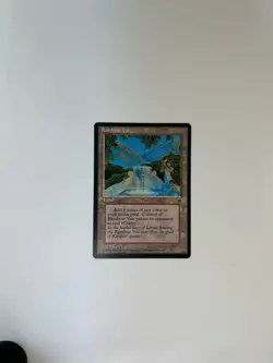 X1- mtg Rainbow Vale Fallen Empires RARE LAND #99 LP/EX - Image 1