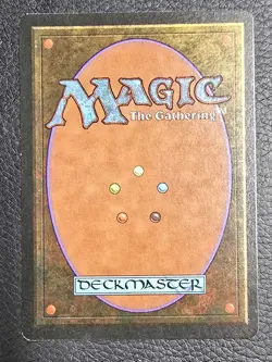 Safe Haven - MtG The Dark - Rare LP 1994 Magic Land Card - Image 2