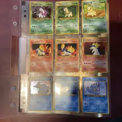 Pokemon Neo Premium File 1 Promo Folder and Cards Gold Silver Japanese WOTC - Image 3
