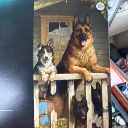MTG Secret Lair x Fallout: Greet the Dog Non-Foil Edition SEALED - Image 5