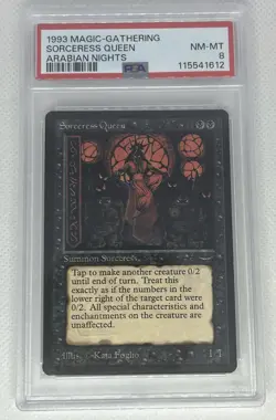 MTG Sorceress Queen - Arabian nights PSA 8 - NM-MT - Global Ship - Image 1