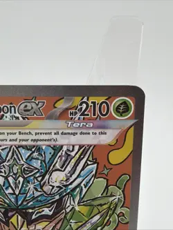 Pokemon Teal Mask Ogerpon ex 145/131 Holo Prismatic Evolutions Pokemon NM - Image 3