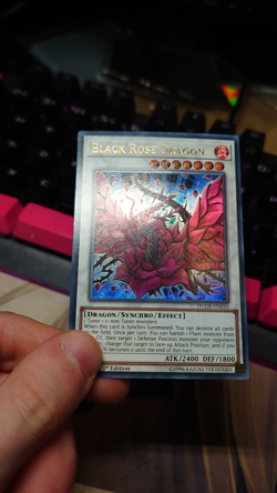 Yu-Gi-Oh! Ultimate Rare Style Black Rose Dragon - Image 2