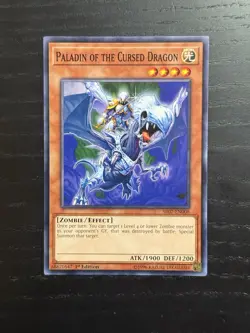 Paladin of the Cursed Dragon - SR07-EN008 - Common - 1st Edition - Image 1