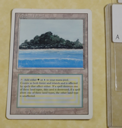 TROPICAL ISLAND MP -- Revised MTG -- See Photos - Image 1