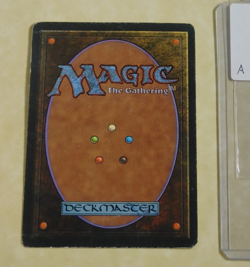 TROPICAL ISLAND MP -- Revised MTG -- See Photos - Image 2