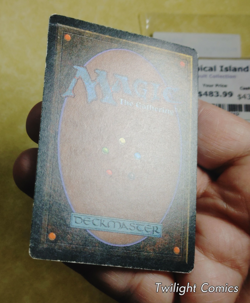 TROPICAL ISLAND MP -- Revised MTG -- See Photos - Image 4