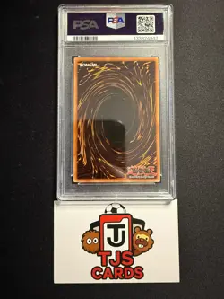 Stardust Dragon - PSA 7 - Secret Rare Limited Edition CT05-EN001 - YuGiOh - Image 2