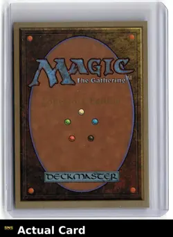 Magic: The Gathering Collectors' Edition Bayou - Image 2