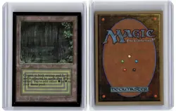 Magic: The Gathering Collectors' Edition Bayou - Image 3
