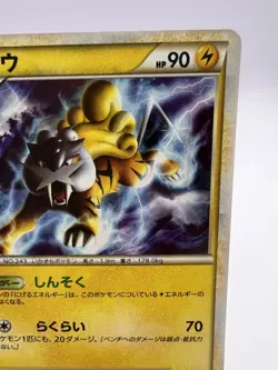 Pokemon Card Shiny Raikou 064/L-P Shiny Present Campaign Promo Japanese - Image 4