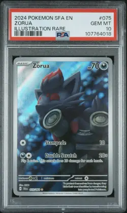 2024 POKEMON SFA EN-SHROUDED FABLE ILLUSTRATION RARE #075 ZORUA PSA 10 - Image 1