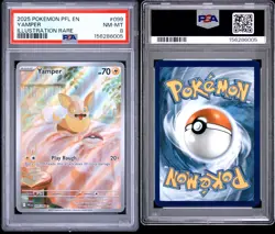 2025 Pokemon PFL EN-Phantasmal Flames Yamper Illustration Rare PSA 10 - Image 3