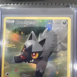 Poochyena GG33/GG70 – Crown Zenith: Galarian Gallery Pokemon Card NM - Image 2