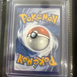 Poochyena GG33/GG70 – Crown Zenith: Galarian Gallery Pokemon Card NM - Image 4