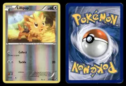 Lillipup 81/114 Reverse Holo Common Black & White Pokemon Card - Image 1