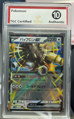 Pokemon TCG Japanese Bouffalant EX: TGC 10 - Image 1