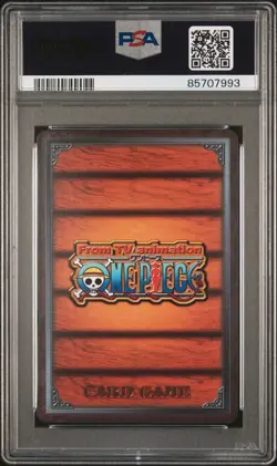2004 Japanese One Piece CCG Nami & Robin WJ-12 PSA 7 NM Special Pack Promo - Image 4