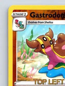 Stage 1 Gastrodon HP 130 Earthquake Attack Rarity Yellow Pokemon Card - Image 3