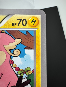 Birthday Pikachu BW-P + Osaka Jumbo Tepig Jumbo Pokemon Center Promo Japanese - Image 5