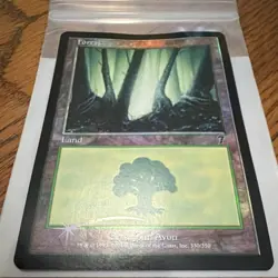 Wizards of the Coast Forest MTG 7th Edition Land Foil EN 2001 330/350 Avon - Image 2