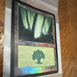 Wizards of the Coast Forest MTG 7th Edition Land Foil EN 2001 330/350 Avon - Image 3