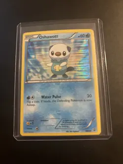 The Pokemon Company Pokemon TCG Oshawott BW03 Black & White Promo Holo 60HP 2011 - Image 4