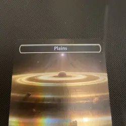 Plains (240) (Borderless) Unfinity Foil; MTG - Image 2