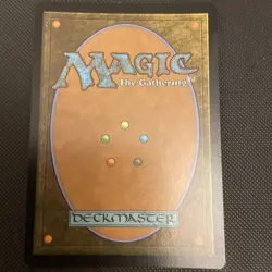 Plains (240) (Borderless) Unfinity Foil; MTG - Image 4