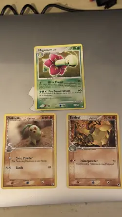 Meganium 13/123 Mysterious Treasures Holo Rare Pokemon Card LP +PREV EVOLUTIONS - Image 2