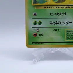 Bulbasaur & Ivysaur No.001 002 Intro Pack Bulbasaur Deck Pokemon Card Japanese - Image 5
