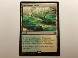 MTG Khans Of Tarkir WINDSWEPT HEATH LP (BIN) Graded Power - Image 1