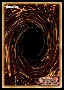 Amazoness Sage Duelist Revolution DREV-EN030 MP YuGiOh TCG | Buy 10 Get 10 Free - Image 2