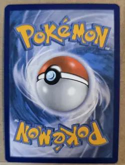 Pikachu SWSH234 SWSH: Sword & Shield Promo Cards Holo MINT - Image 4