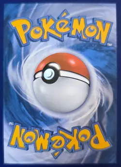 Pikachu SWSH234 SWSH: Sword & Shield Promo Cards Holo MINT - Image 5