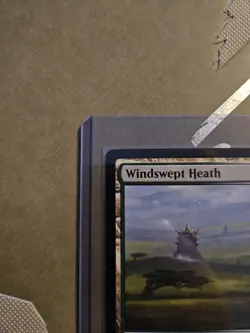 MTG Windswept Heath - Modern Horizons 3 Rare Land! NM Mint! - Image 2
