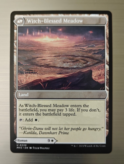 Witch Enchanter/Witch-Blessed Meadow - Modern Horizons 3 - MH3 - #239 - NM - Image 2