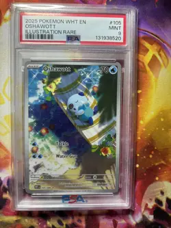 2025 Pokemon WHT EN White Flare Oshawott Illustration Rare #105 PSA 9 MINT - Image 1