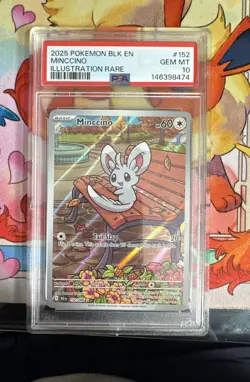 Minccino 152/086 PSA 10 Illustration Rare Black Bolt Gem Mint Pokemon - Image 1