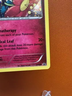 Floette #XY139 - XY - Black Star Promo - Pokemon TCG card game 2016 - NM 1111 - Image 5