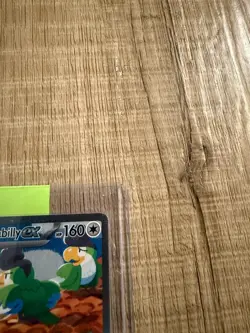 Squawkabilly ex 264/193 Special Illustration Rare Paldea Evolved Pokemon Holo NM - Image 3