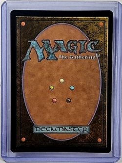 MTG Magic The Gathering Fallout Extended Art Surge Foil 1020 Darkwater Catacombs - Image 2